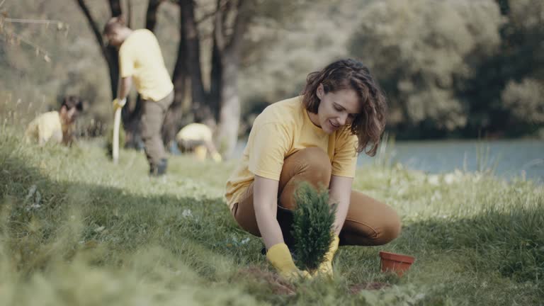Best Lawn Maintenance Plans  in Anna, TX