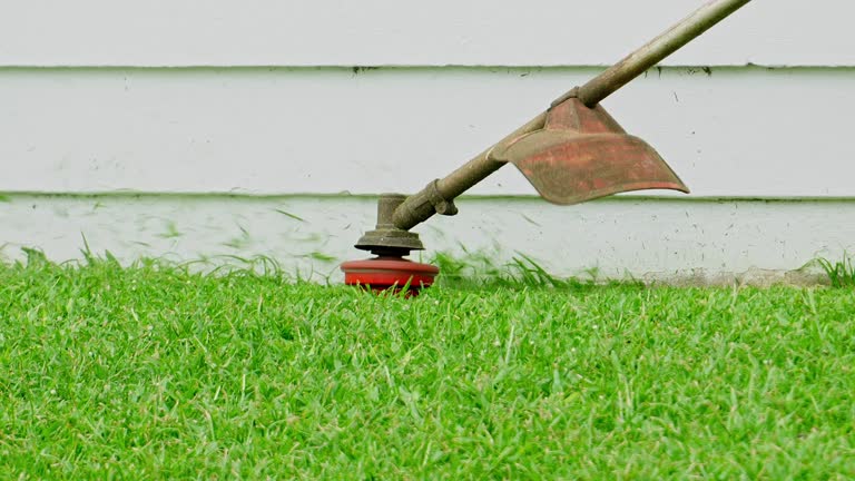 Best Leaf Removal  in Anna, TX