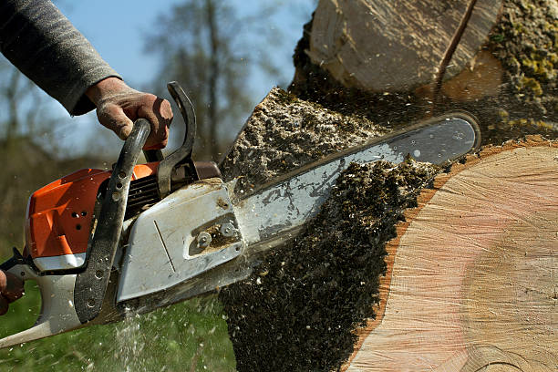 Mulching Services in Anna, TX